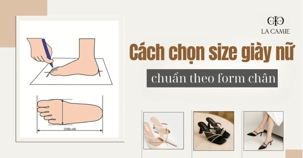 chọn size giày nữ chuẩn theo form chân