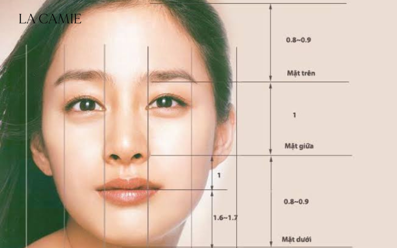 Tỷ lệ vàng và cách nhận biết dáng mặt trái tim